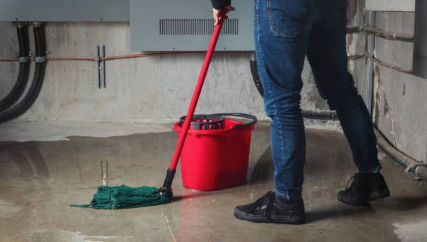 Best 24/7 water damage repair  in Sebastian, TX