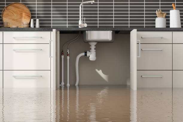 Best Mold removal after water damage  in Sebastian, TX